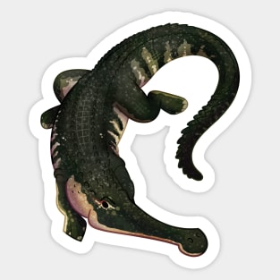 Cozy Sarcosuchus Sticker